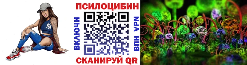 наркотики  Черняховск  Галлюциногенные грибы Psilocybine cubensis 